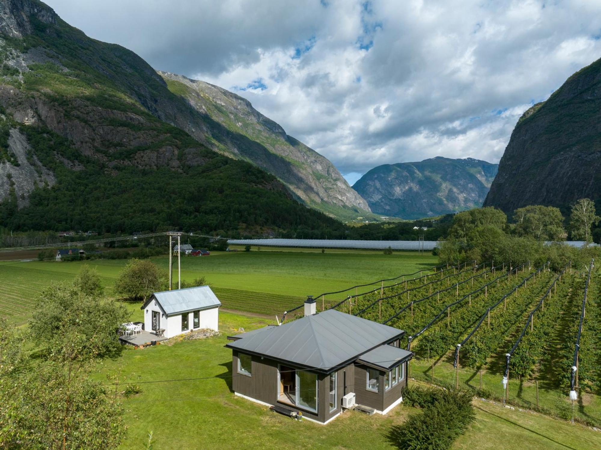 Jordeplegarden Holiday Home - Part Of A Farm - Two Buildings - Close To Flam Laerdalsoyri Exterior foto