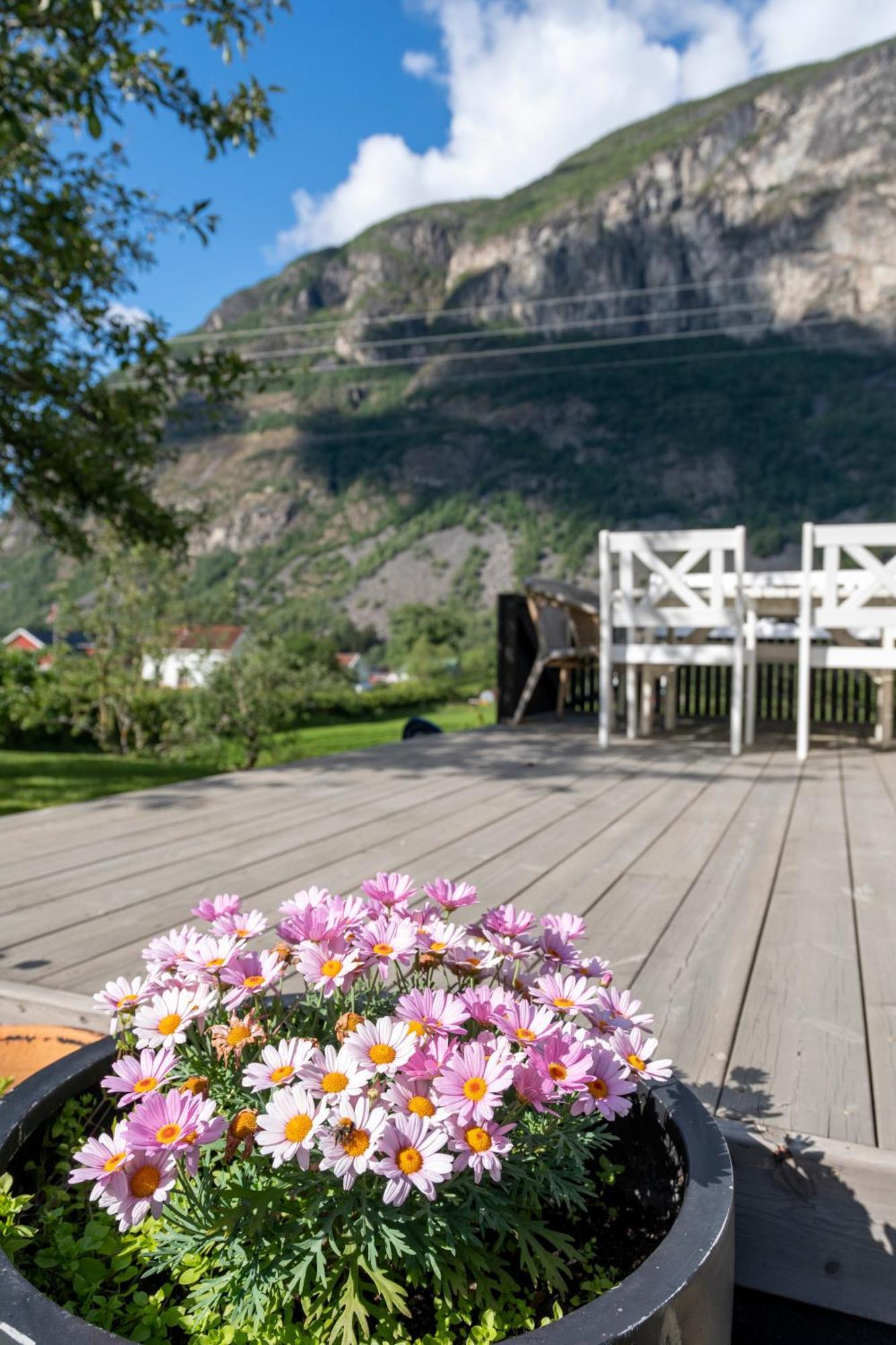 Jordeplegarden Holiday Home - Part Of A Farm - Two Buildings - Close To Flam Laerdalsoyri Exterior foto