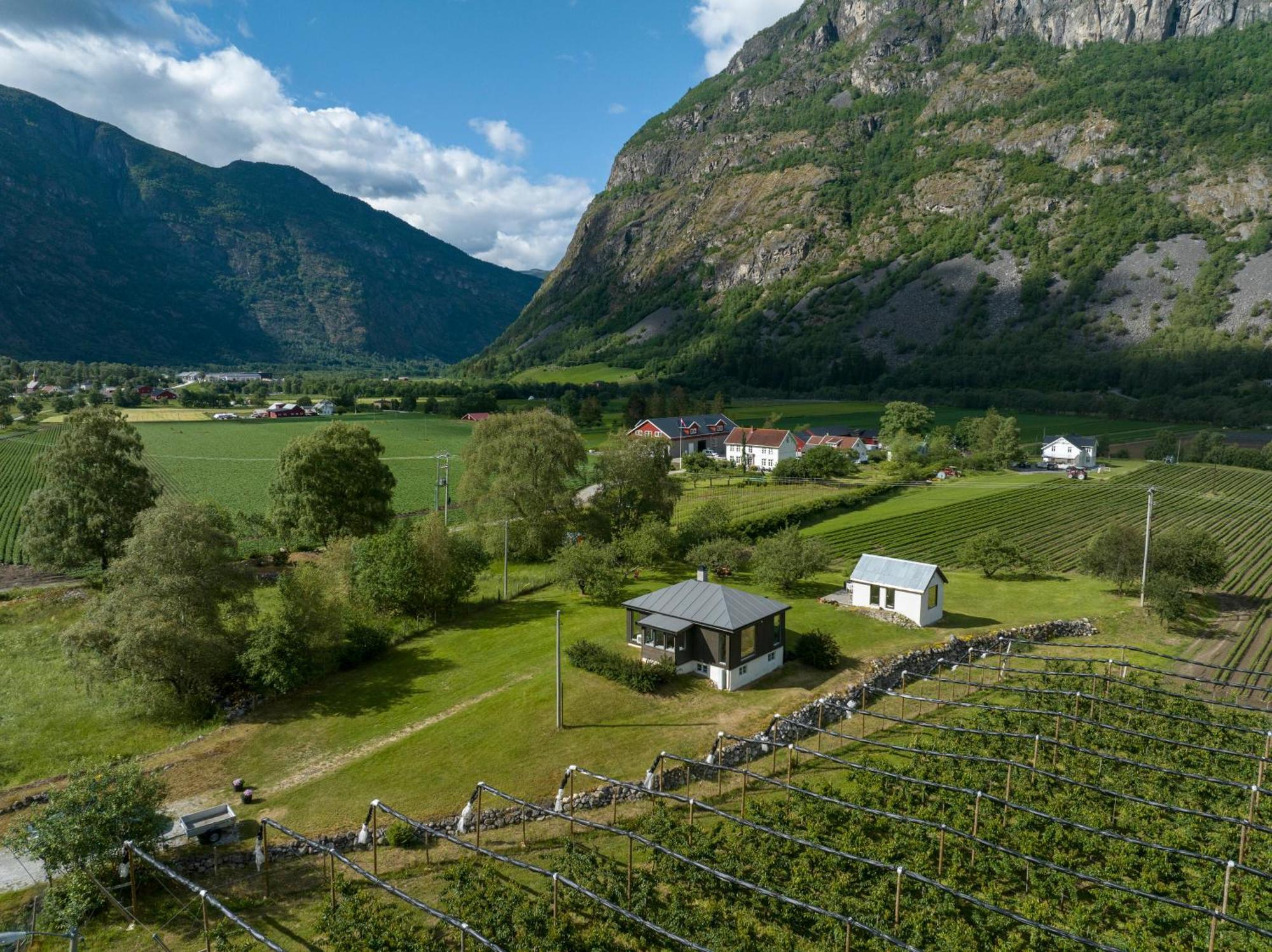 Jordeplegarden Holiday Home - Part Of A Farm - Two Buildings - Close To Flam Laerdalsoyri Exterior foto