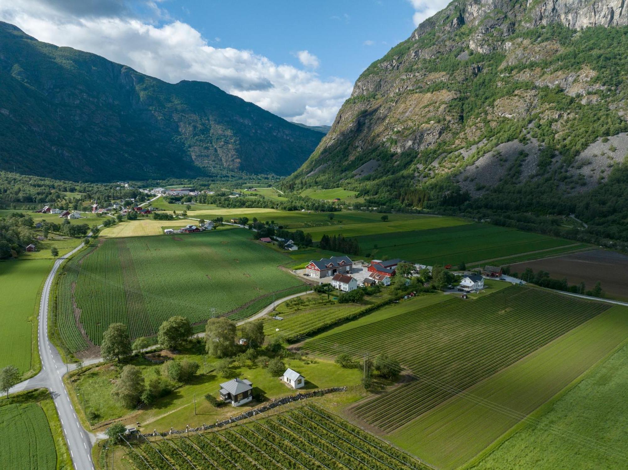 Jordeplegarden Holiday Home - Part Of A Farm - Two Buildings - Close To Flam Laerdalsoyri Exterior foto